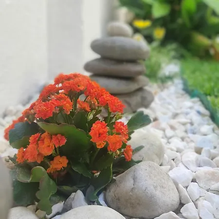 Casa Graziela, Jardim Privado E Totalmente Equipada Fácil Acesso A Transportes Appartamento